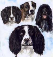Four Dogs