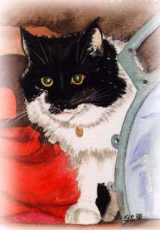 Clio