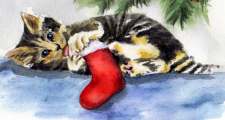 Kitten at Christmas