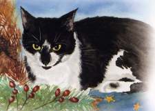 Nelson
