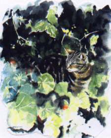 Susie