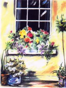 Window